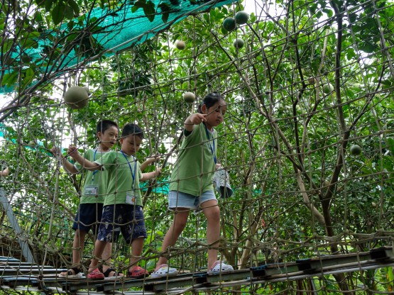 TRẢI NGHIỆM TRANG TRẠI GIÁO DỤC ERAHOUSE 